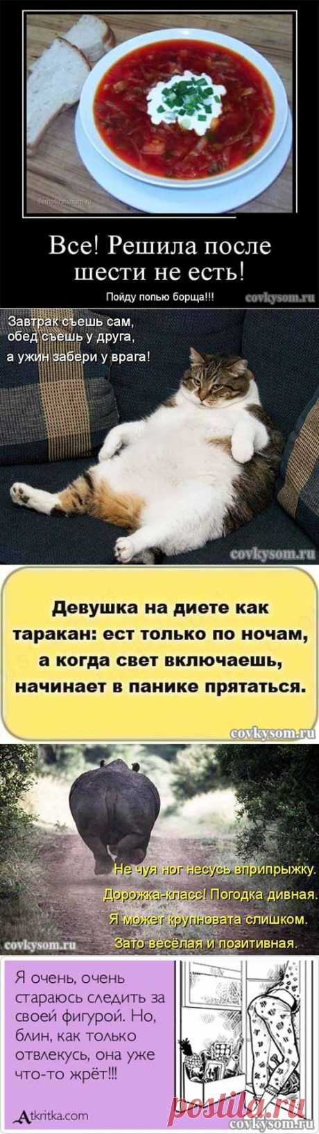 Смешная диета. Подборка анекдотов в картинках, котоматриц и демотиваторов на тему похудения. | Со вкусом