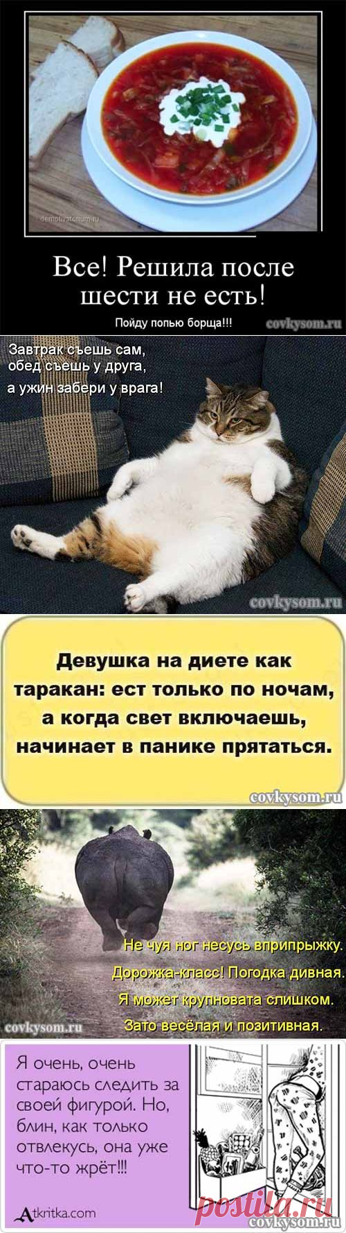 Смешная диета. Подборка анекдотов в картинках, котоматриц и демотиваторов на тему похудения. | Со вкусом