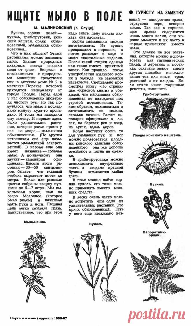 Растения вместо мыла
