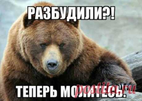 Россия идет ва-банк... Исраэль Шамир о том, как США оказались на краю пропасти