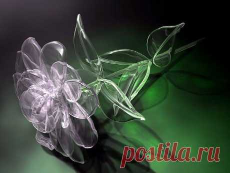 (51) Одноклассники