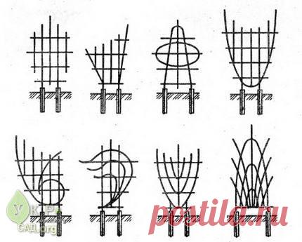красивые опоры для плетистых роз - Поиск в Google