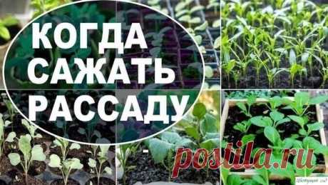 ЛУННЫЙ ПОСЕВНОЙ КАЛЕНДАРЬ 2020