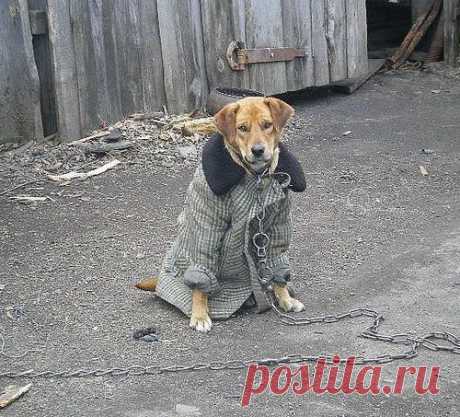 Какая добрая бабушка...