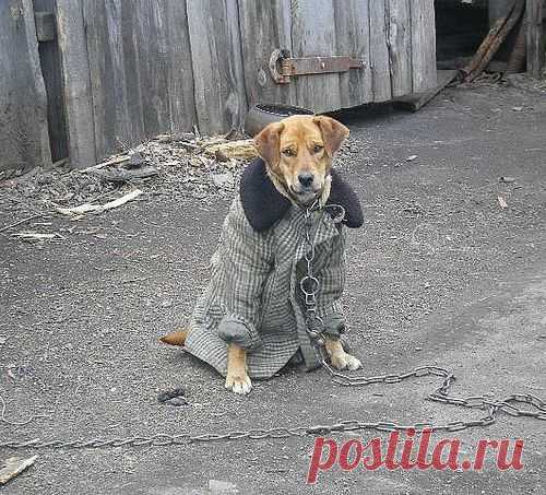 Какая добрая бабушка...