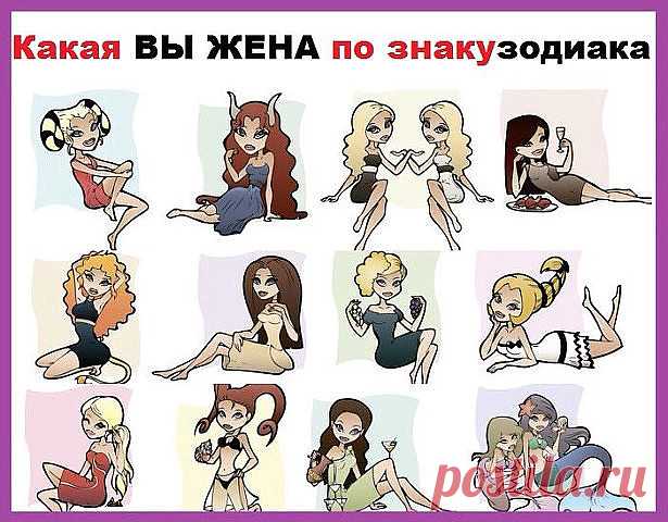 5 непрочитанных чатов