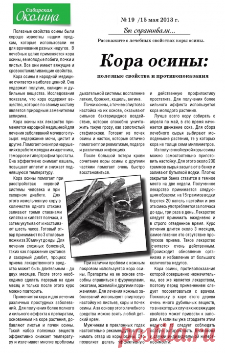 Кора осины: полезные свойства и противопоказания