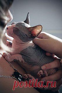 Dita 4 | Flickr - Photo Sharing!