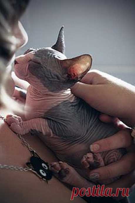 Dita 4 | Flickr - Photo Sharing!