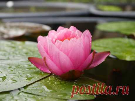 Редактировать описание