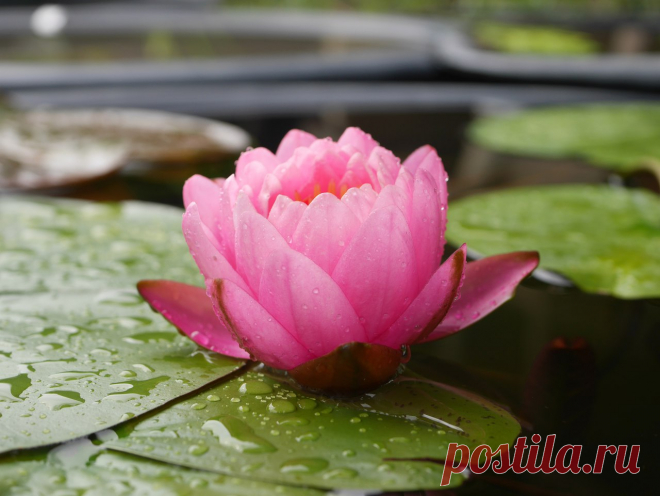 Редактировать описание