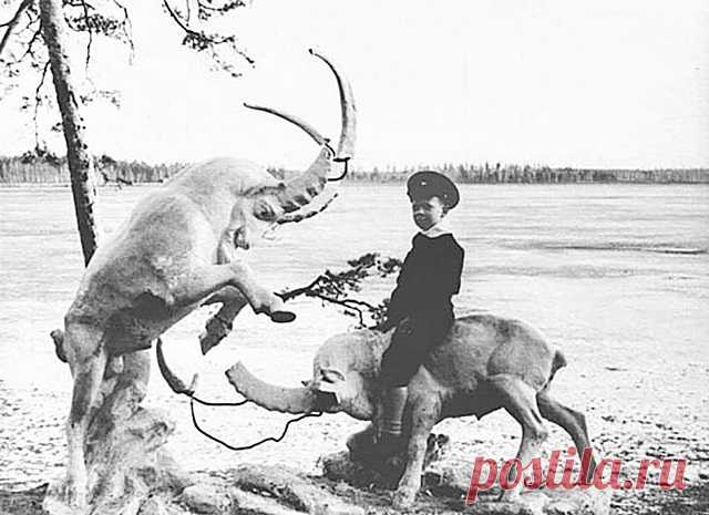 Про фотографии Иртяша, которым скоро 100 лет