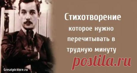 Стихотворение которое нужно перечитывать в трудную минуту - Все самое интересное в мире - медиаплатформа МирТесен