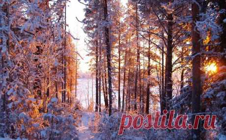 Озеро Лесопино