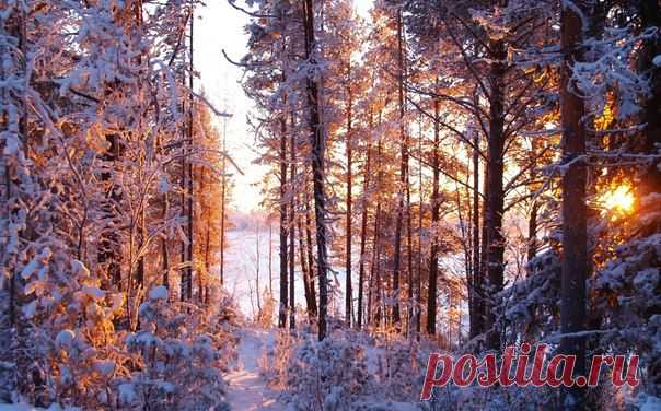 Озеро Лесопино