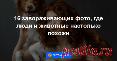 Снимков, доказывающих, что домашние питомцы похожи на своих хозяев, уже много. Польский фотограф Мариола Глайкар решила пойти дальше. Она показала, что любое животное может напомнить человека своим поведением и даже...