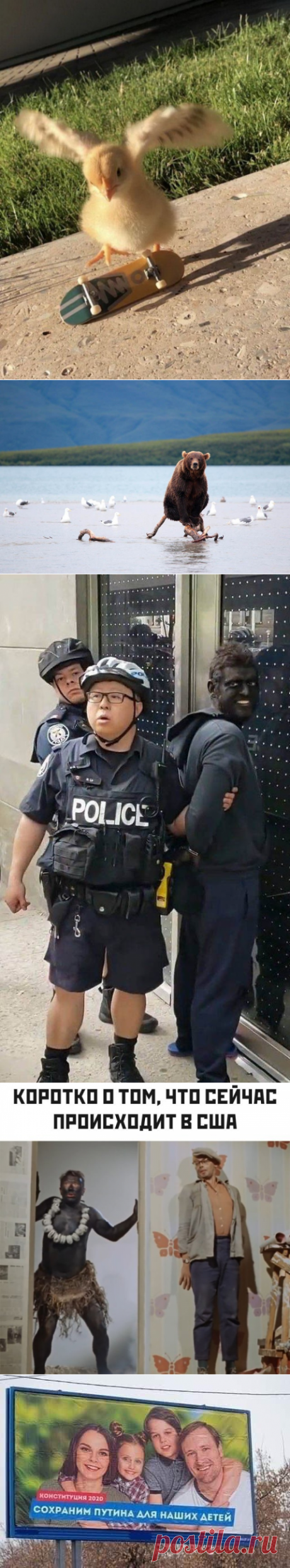 Подборка прикольных картинок и фотографий-254