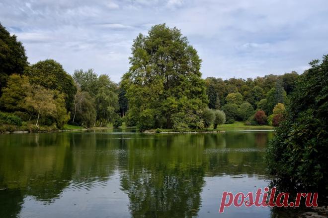 Trees at Stourhead Gardens, Wiltshire. An island on the lake is home to a magnificent tulip tree, which turns a fantastic butter yellow as Autumn progresses.  Here it is still wearing its Summer green, but is magnificent nevertheless.