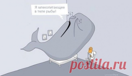 О чем шутят ученые