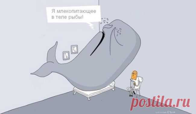 О чем шутят ученые