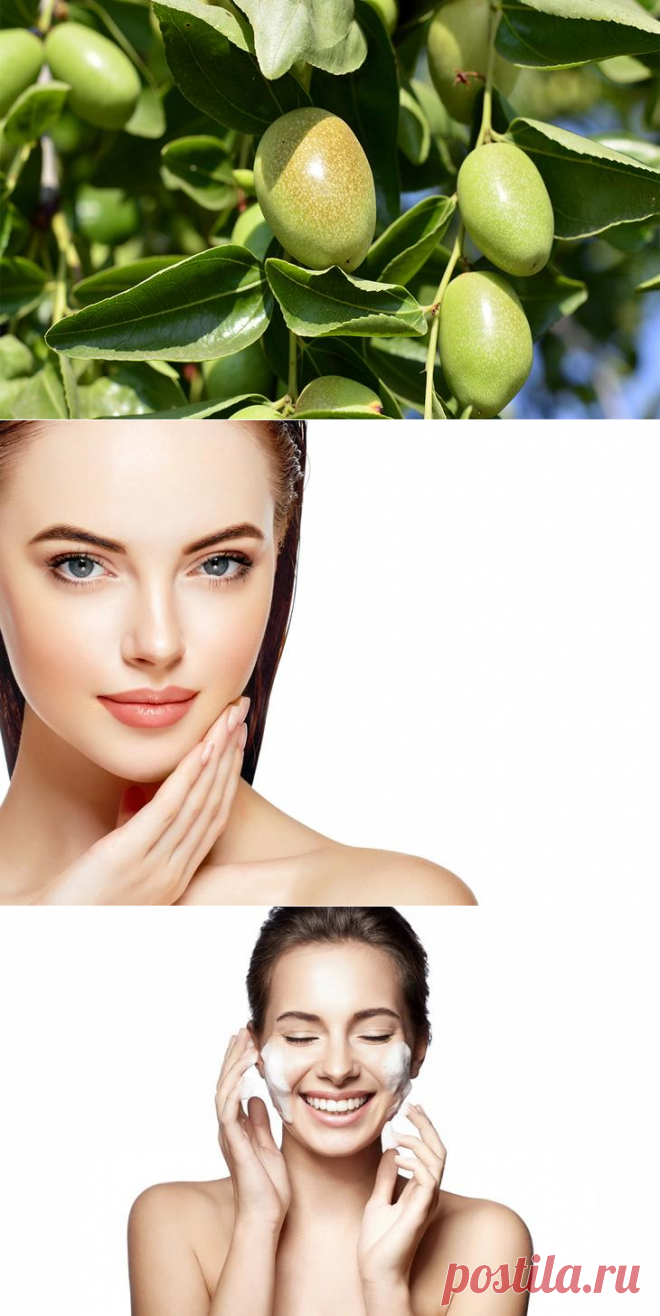 Масло жожоба — свойства и применение для лица, волос, тела