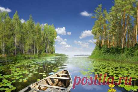 У водоема...