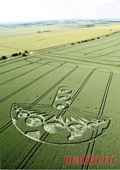 (1) Gallery.ru / Фото #1 - Crop Circle Пришельцы или шутка? - Clematis