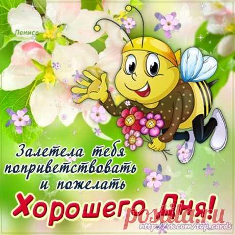 aTo0rJCNIsI.jpg (604×604)