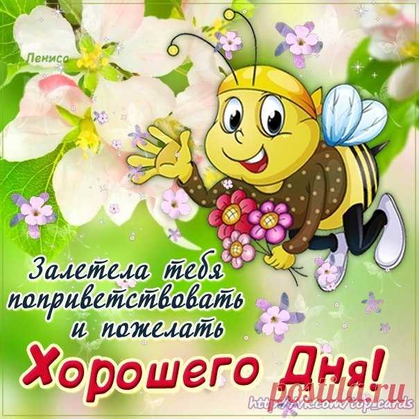 aTo0rJCNIsI.jpg (604×604)