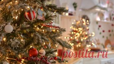 Фитнес-тренер рассказала, сколько можно сжечь калорий, наряжая елку. Новогодние хлопоты — это не только праздничное настроение, но и отличная возможность для естественной физической активности. Пока наводится чистота и украшается дом, тело незаметно выполняет множество полезных движений. Например, ...