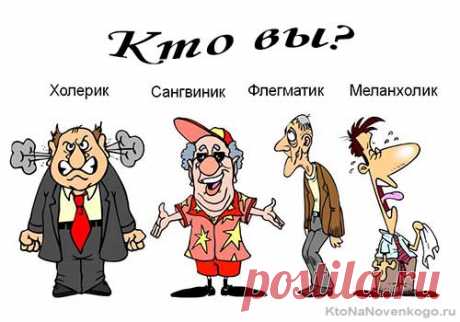 Сангвиник, холерик, флегматик и меланхолик — 4 основных типа темперамента или как понять что вы за человек (тест личности) | KtoNaNovenkogo.ru - создание, продвижение и заработок на сайте