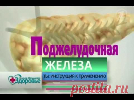 Как ухаживать за поджелудочной железой.flv
