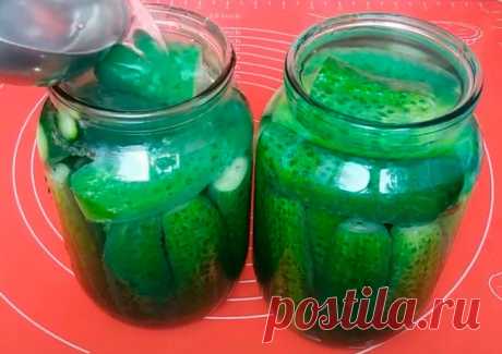 Огурцы С Горчицей На Зиму: Самые Вкусные Рецепты В Банках