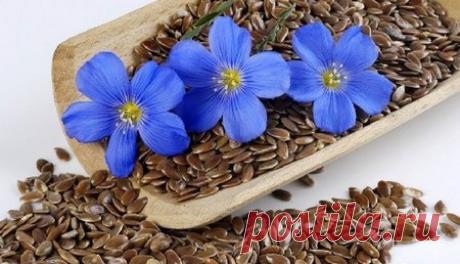 Как принимать семена льна для похудения? Видео | Здоров Будь