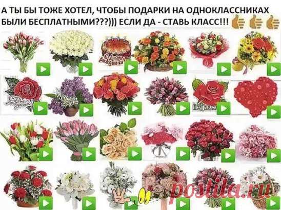 Проверенные поколениями народные средства.
1. Сосна и шиповник.
- Возьмите сосновые веточки, измельчите иголки при помощи ножниц. - 10 ст. ложек измельченных иголок смешайте с 5 ст. ложками предварительно измельченных плодов шиповника. - Полученную смесь залейте 1,5 л холодной воды, поместив все в эмалированную посуду. - Кипятите 10 мин. на слабом огне. - Заверните кастрюлю в одеяло и настаивайте ночь. - Затем отвар тщательно процедите и выпейте весь в течение дня. Курс - 4 месяца.
2. Прополи