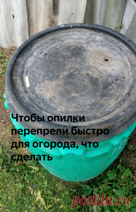 Чтобы опилки перепрели быстро для огорода, что сделать | Дачная жизнь | Яндекс Дзен