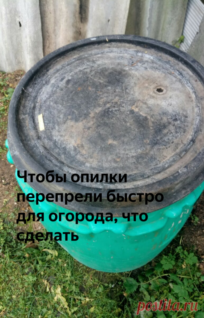 Чтобы опилки перепрели быстро для огорода, что сделать | Дачная жизнь | Яндекс Дзен