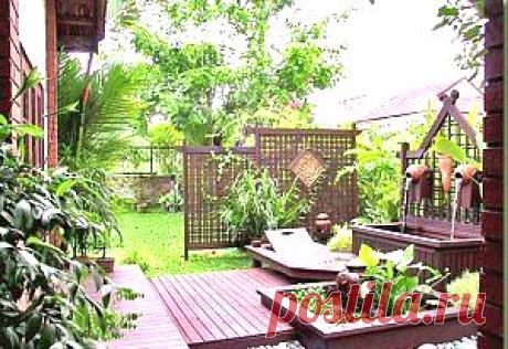 Заботимся о сердце | Советы Народной Мудрости