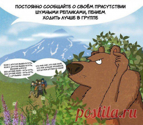 Что нам нужно знать о медведях / Богатая добыча