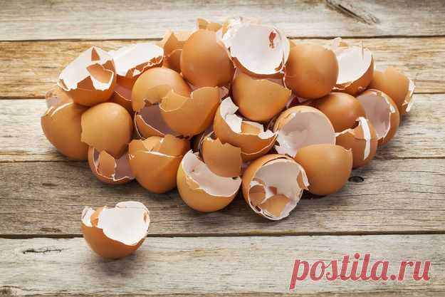 Десять поводов не выбрасывать яичную скорлупу - KitchenMag.ru