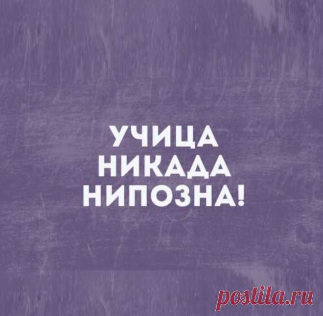 Говори на родном языке правильно — 15 неграмотных слов, которые помогут опозориться в приличном обществе | Александр Долгих | Дзен