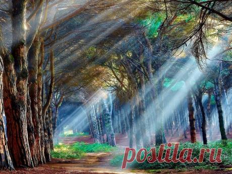 Шикарная природа|Галерея фото