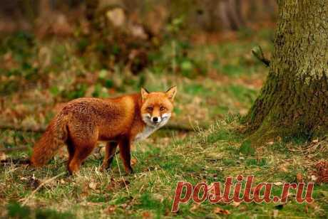 МИР ПОЗДРАВЛЕНИЙ И ОТКРЫТОК...
Лариса Щербакова (Кузнецова)