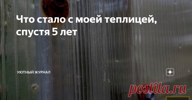Что стало с моей теплицей, спустя 5 лет При покупке и установке теплицы пять лет назад, была твёрдая уверенность, что теплица прослужит вечно. Заказан был хороший крепкий каркас, хороший поликарбонат толщиной 6 мм.