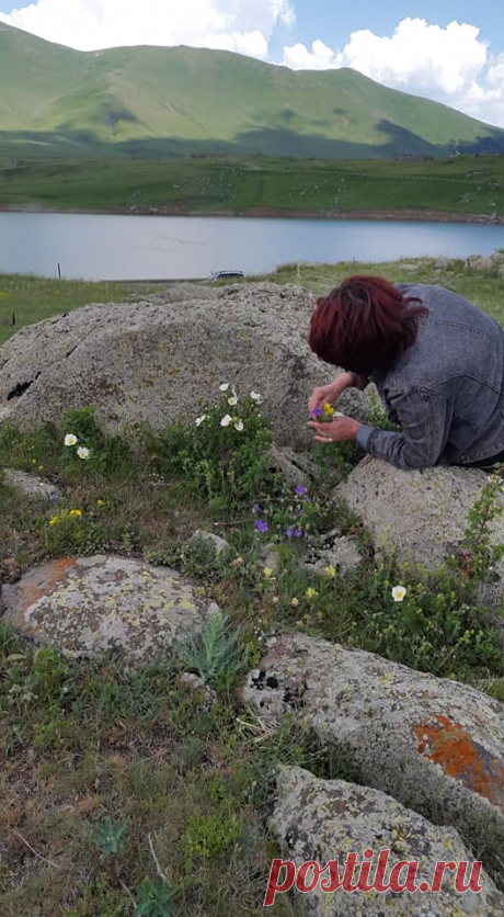 Ծաղկունք🌼
Յուրահատուկ հմայք,հոտ ու տեսք ունեն նաև հայրենի իմ բնաշխարհի ալպիական ծաղիկները....այս անմահական գեղեցկությունը տեսնելու համար ասում են մի փոքր էլ քո մեջ պետք է կրես այդ գեղեցիկից:
Գեղեցիկը դա ձևի և բովանդակության ներդաշնակությունն է:Գեղեցիկը պետք է տեսնել ամենուր, ամեն ինչում...ու մեր կյանքում: Գեղեցիկ ապրելը մեծագույն հաճույք է

Լուսավորիչ Դիդրոն գեղեցիկի մասին ասել է.«Մարդու կամքից անկախ ամեն ինչ գեղեցիկ է»: