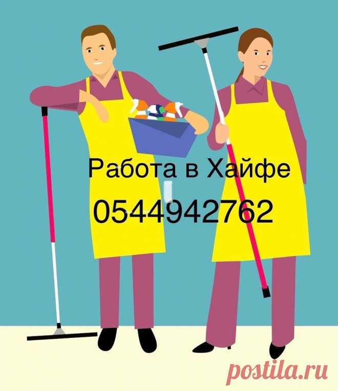 Работа в Хайфе доступна каждому, кто готов приложить усилия к её поиску. Сфера уборки - это один из наиболее стабильных и востребованных сегментов рынка труда. Гибкий график, достойная оплата и простота вхождения делают эту работу привлекательной для многих людей.
Для начала работы в сфере уборки не требуется специфического образования или навыков. Это отличная возможность для тех, кто только приехал в страну или не имеет опыта работы в других сферах.