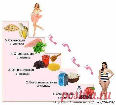 Диета &quot;Лесенка&quot;. Потеря веса - до 1,5 кг в сутки!