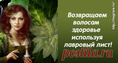 Лавровый лист возвращает волосам здоровье и красоту! Просто положите его в воду...