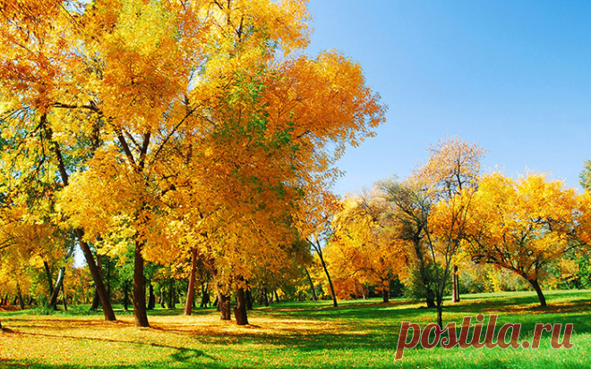 Праздники и памятные даты сентября - календарь праздников