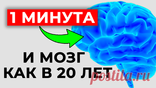 Здравствуйте! С вами Алексей Маматов и Клуб Активного Долголетия!  В этом выпуске я покажу волшебное упражнение для пробуждения мозговых рецепторов.…
